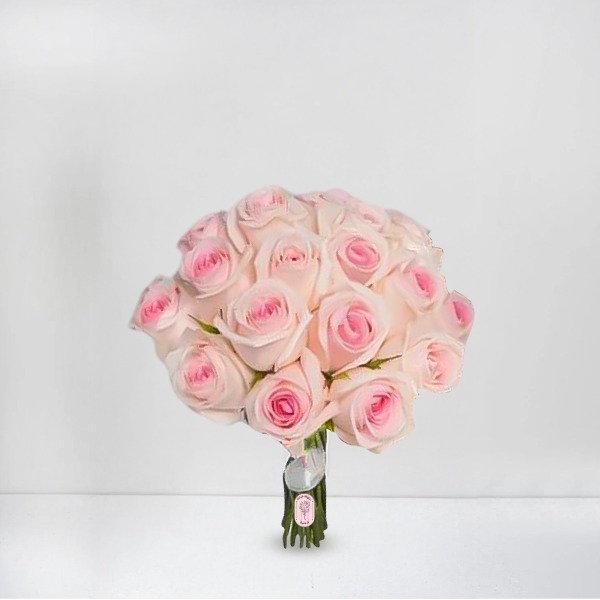 Soft Romance