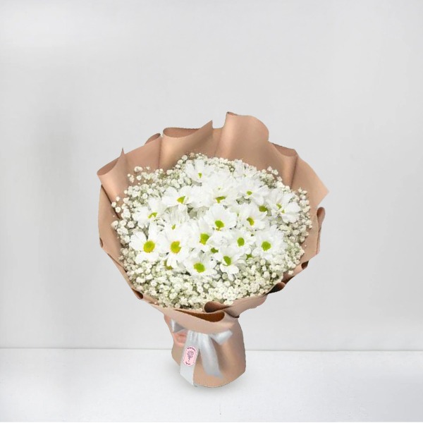 White Daisy Delight
