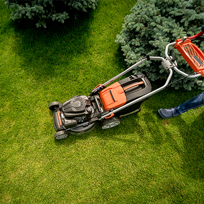 Landscape Designs