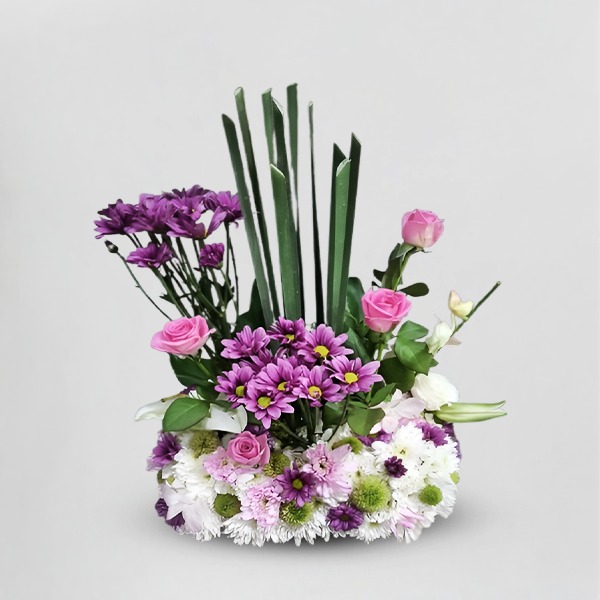 Lavender Chrysanthemum