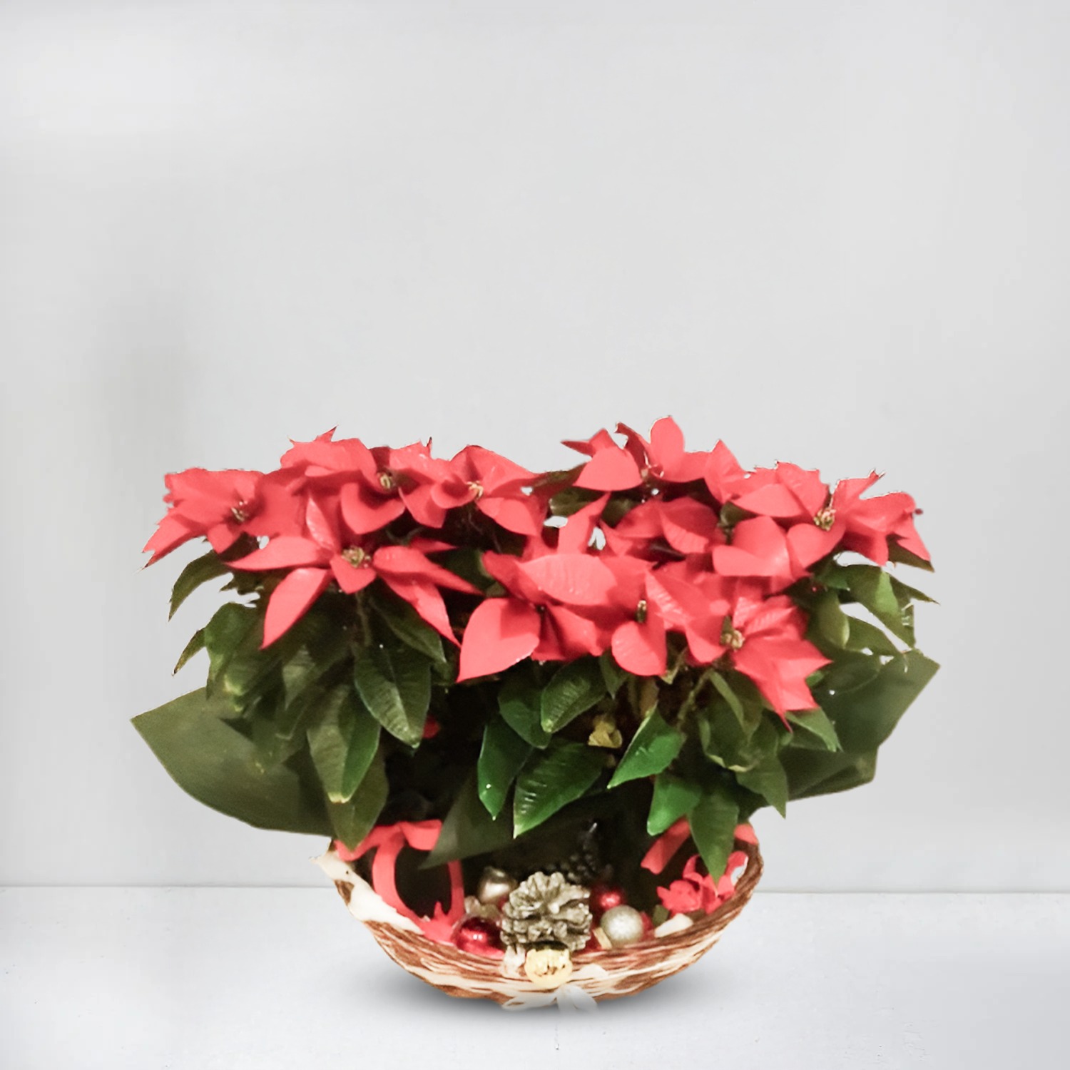 Winter Basket